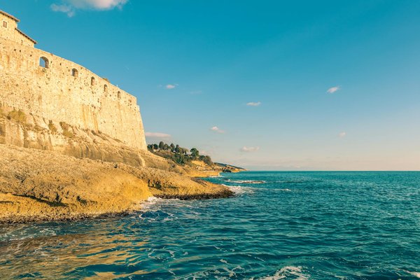 Quels sont les itinéraires de croisière pour observer les baleines à bosse en Hawaï?
